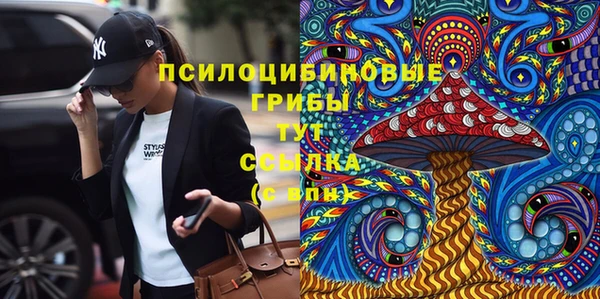 прущий лед Алексин