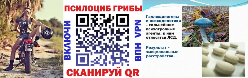 shop какой сайт  Снежногорск  Псилоцибиновые грибы Psilocybe  наркотики 