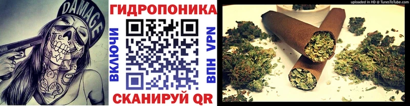 Марихуана Amnesia  даркнет клад  Снежногорск 